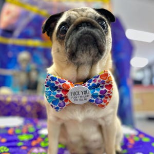May include: A fawn-colored pug wearing a white bow tie patterned with small, colorful hearts. A circular white pin is attached to the center of the bow tie, featuring the black text: FUCK YOU I WON'T DO WHAT YOU TELL ME.
