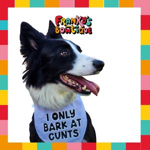 Sassy Pet Bandana Collar – "I Only Bark at Cxnts", Adjustable Neckwear