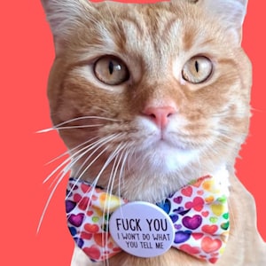 Rebel Cat Bow Tie with Badge: Funny Pet Collar Bow, Handmade