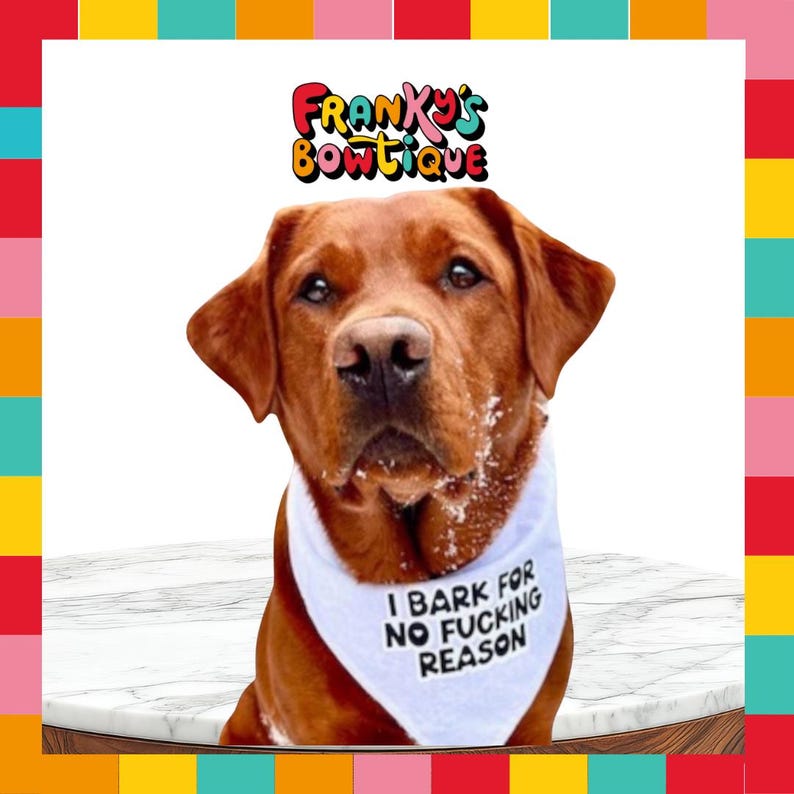 Quirky Dog Bandana: "I Bark for No Reason" Funny Adjustable Pet Bandana image 2