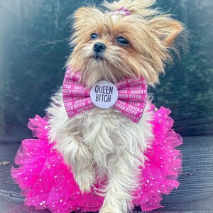 Custom made Badge Bow, custom dog bow tie, dog bow, dog bow ties, bow ties for easter, bow ties for mothers day, bow ties for birthdays image 8