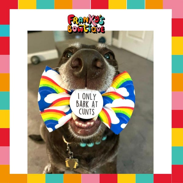 Sassy Dog Badge – I Only Bark at C***s, Small Breed Accessory