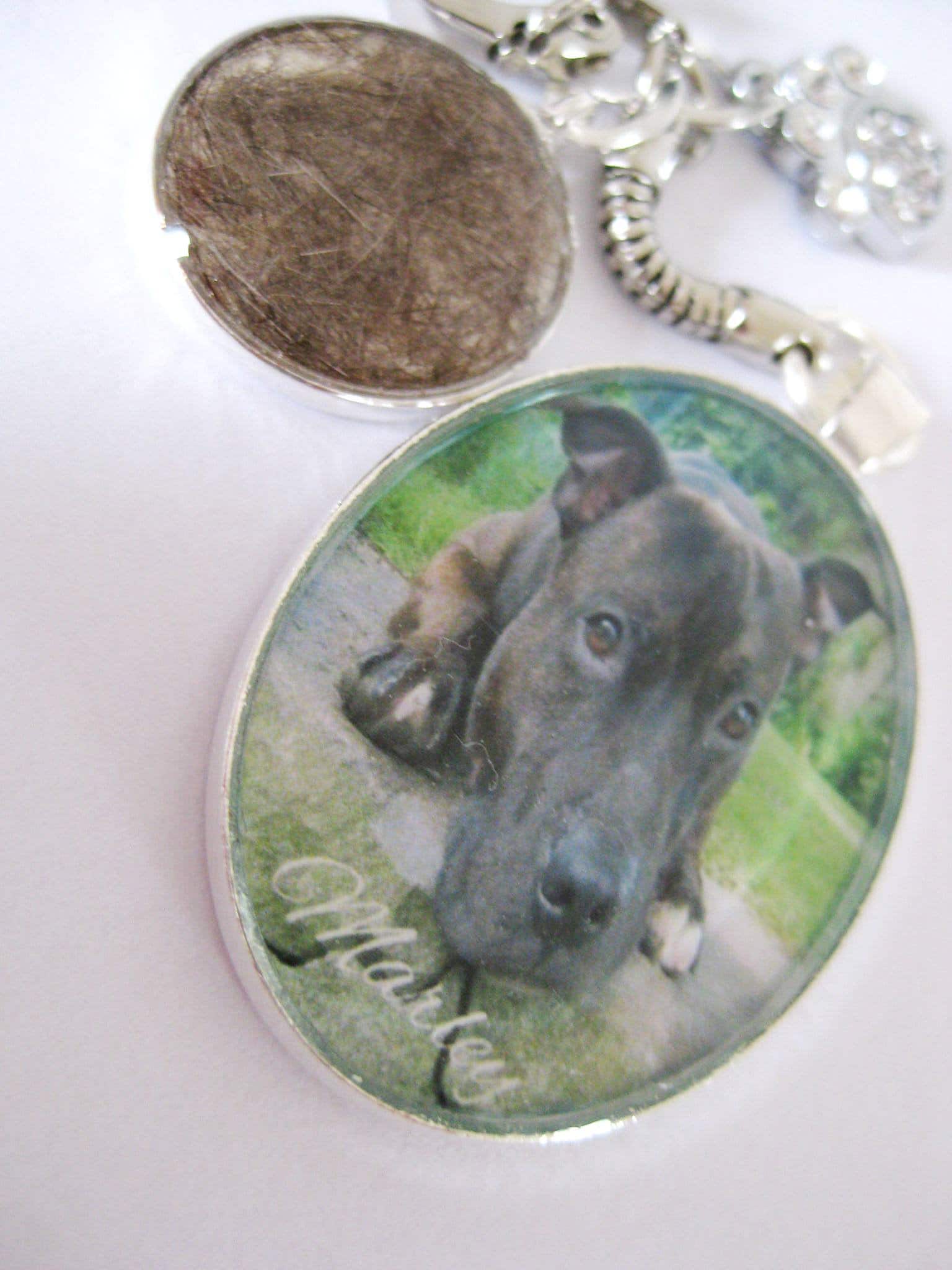 Pet Fur Memorial Keyring Keychain Pet Keepsake Fur Set Into Etsy UK