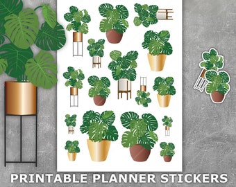 Printable Planner Stickers Monstera Plants – Letter size / A4 / PDF / PNG / jPEG / SILHOUETTE