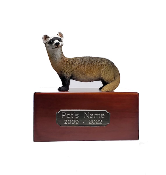 Ferret urn hotsell
