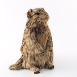 Prairie DOG FUR FIGURINE Realistic Handmade Figurine