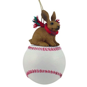 Rabbit, Brown Sports Ornaments