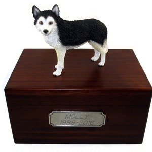 Siberian Husky, Black & White  w/Brown Eyes Beautiful Paulownia Medium Personalized Wooden Pet Urns