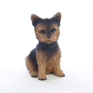 Yorkshire Terrier, Puppy Cut Tiny One Collection