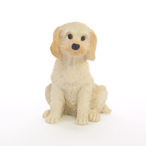 Labradoodle, Cream Tiny One Collection