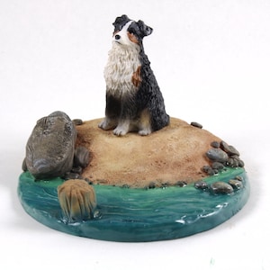 Australian Shepherd, Tri- Color Docked Everyday Life Collection