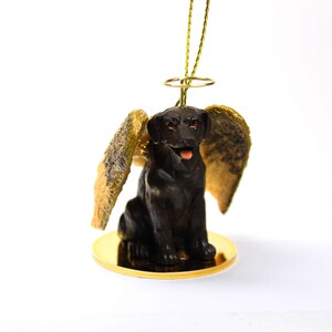 black lab golden retriever mix | Labrador Today