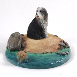 Bearded Collie Everyday Life Collection