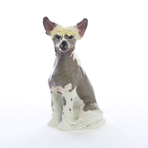 Chinese Crested Dog Tiny One Collection