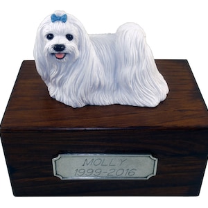 Maltese Beautiful Paulownia Small Personalized Wooden Pet Urns