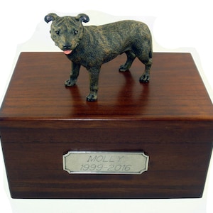 Staffordshire Bull Terrier, Brindle Beautiful Paulownia Medium Personalized Wooden Pet Urns
