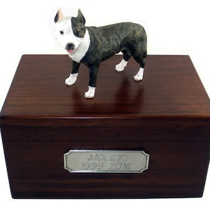 Pit Bull Terrier, Brindle Beautiful Paulownia Wood Medium Personalized Pet Urns