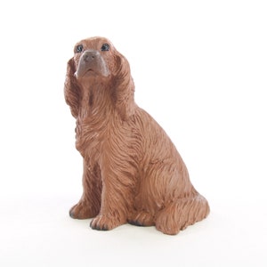 Irish Setter Tiny One Collection