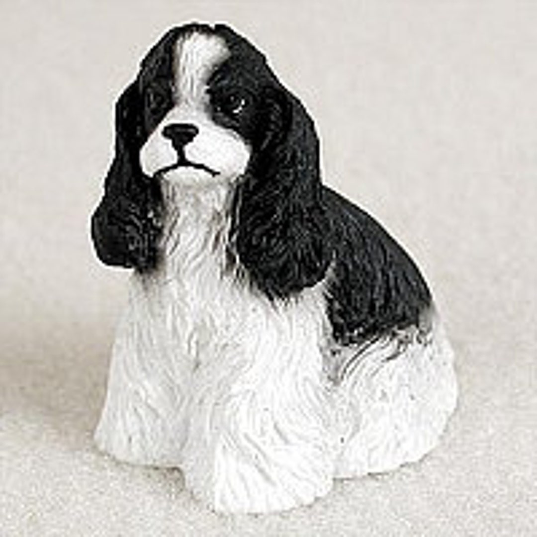 Mini Black Cocker Spaniel