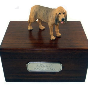 Bloodhound Beautiful Paulownia Medium Personalized Wooden Pet Urns