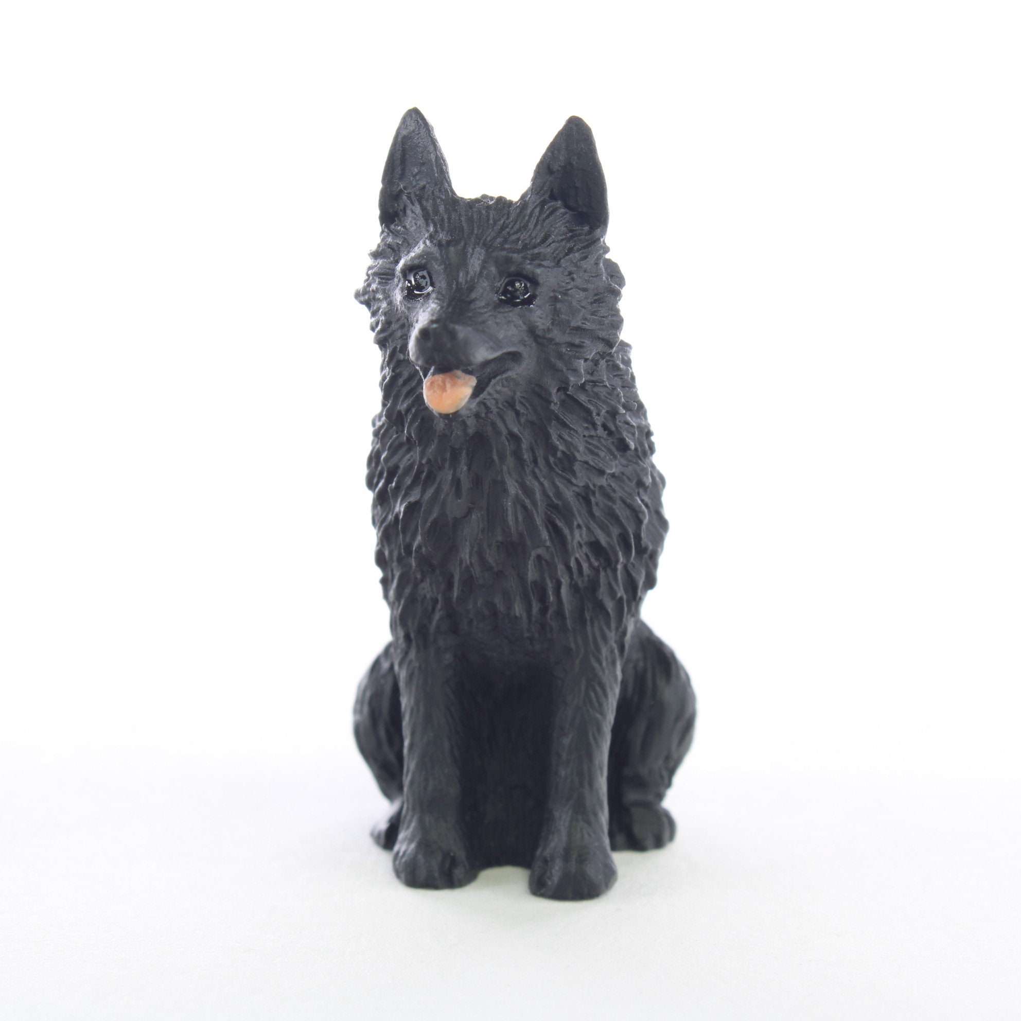 Miniature schipperke best sale
