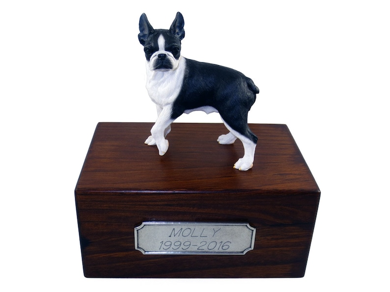 boston terrier urn