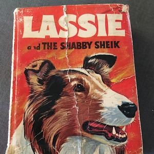 Vintage Dog Book 1968 Small Childrens Book