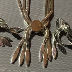 May include: A silver tone necklace and earrings set with a chain link design and dangling leaf-shaped charms.