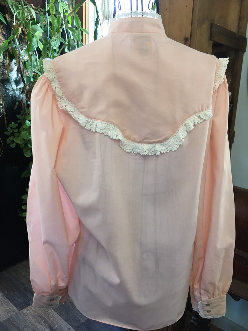 May include: A light pink blouse with a high collar and long sleeves. The yoke and cuffs are trimmed with white lace. The back of the blouse is visible, showing the fabric's texture and the buttoned cuffs.