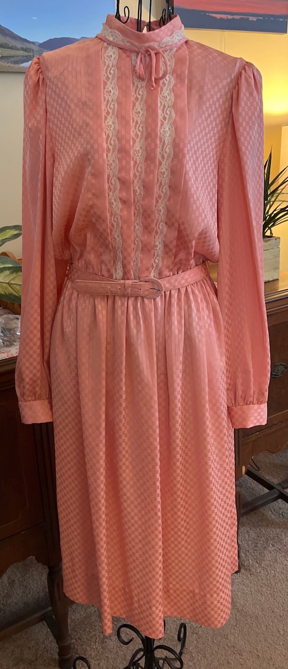 Vintage Pink Lace Belted Dress Long Sleeves Check 