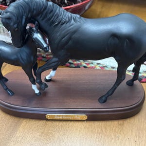 ロイヤルドルトン　馬　置物　 Black Beauty ＆ Foal il_300x300.6658545340_dnh6.jpg