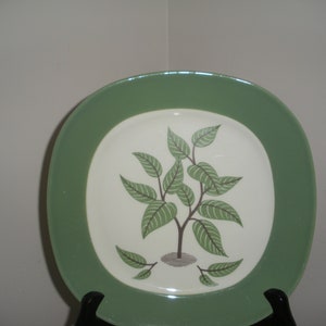 Vintage Green and White Dinner Plates (4) Coffee Tree Taylor Smith Taylor Conversation Shape Walter Dorwin Teague Montgomery Ward