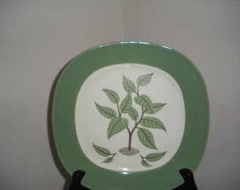 Vintage Green and White Dinner Plates (4) Coffee Tree Taylor Smith Taylor Conversation Shape Walter Dorwin Teague Montgomery Ward