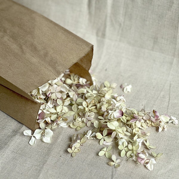 Real Flower Petals Etsy