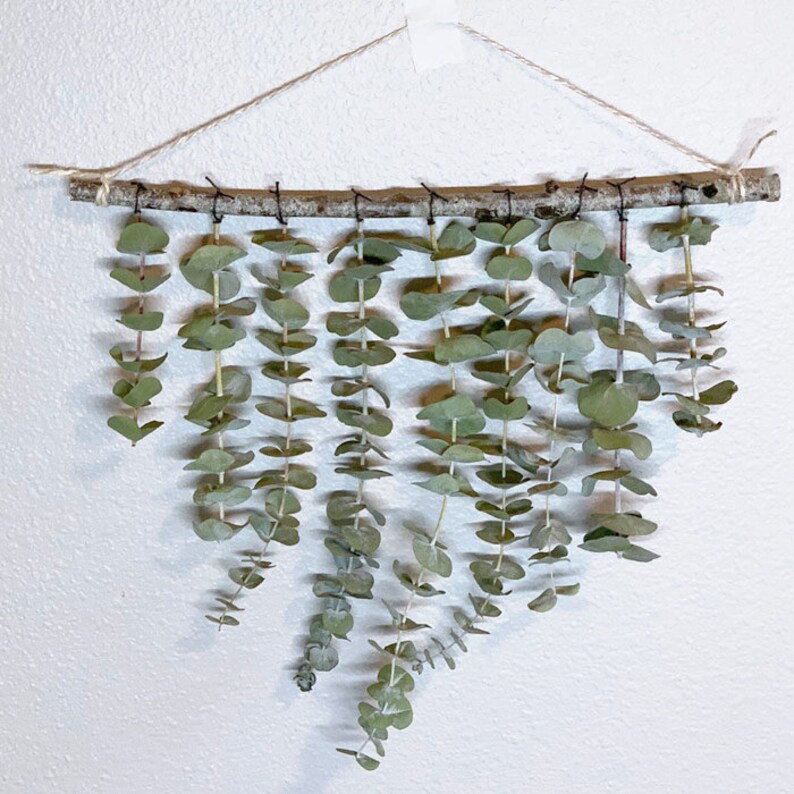 Real Dried Eucalyptus Wall Hanging Art boho wall decor