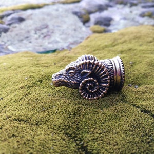 May include: A detailed bronze ram head with curled horns, resting on a bed of green moss.