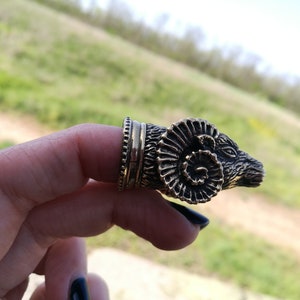 May include: A gold-toned ring featuring a detailed ram head design. The ram's horns are curled and the ring is worn on a finger.