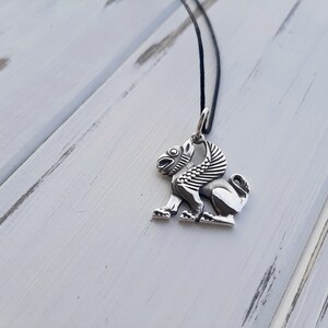 Gryphon salver pendant, Griffon, Fantasy pendant, Historical necklace, Pagan jewelry, Replica, Griffin medieval, Mythical lion, SCA, Slavic image 3
