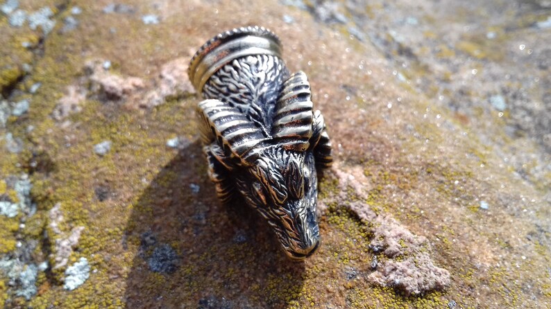 May include: A silver-colored metal pendant shaped like a ram's head with detailed horns and a textured surface. The pendant is sitting on a rock with green moss.