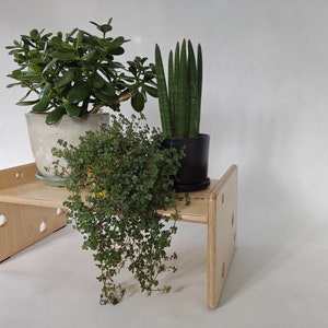 Modern indoor plant shelf, Solid plywood flower rack, Indoor plant display bench, Flower pot table, Plywood flower shelf, Floor shelf stand image 1