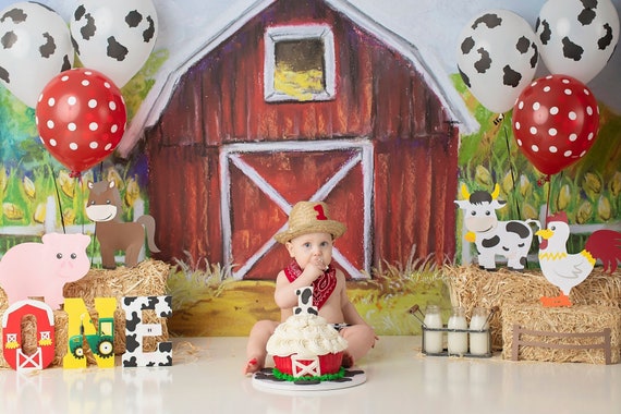 Barnyard Birthday Decorations Farm Birthday Barnyard One Etsy