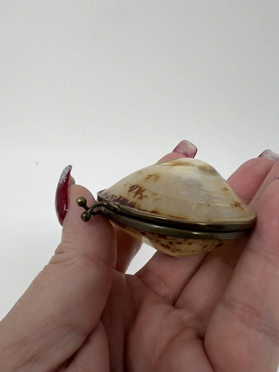 Vintage Limpet Shell Coin Or Pill Holder 2" Long T