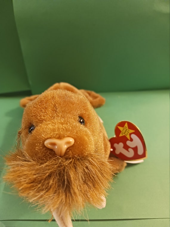 Ty beanie babies Paul the Walrus