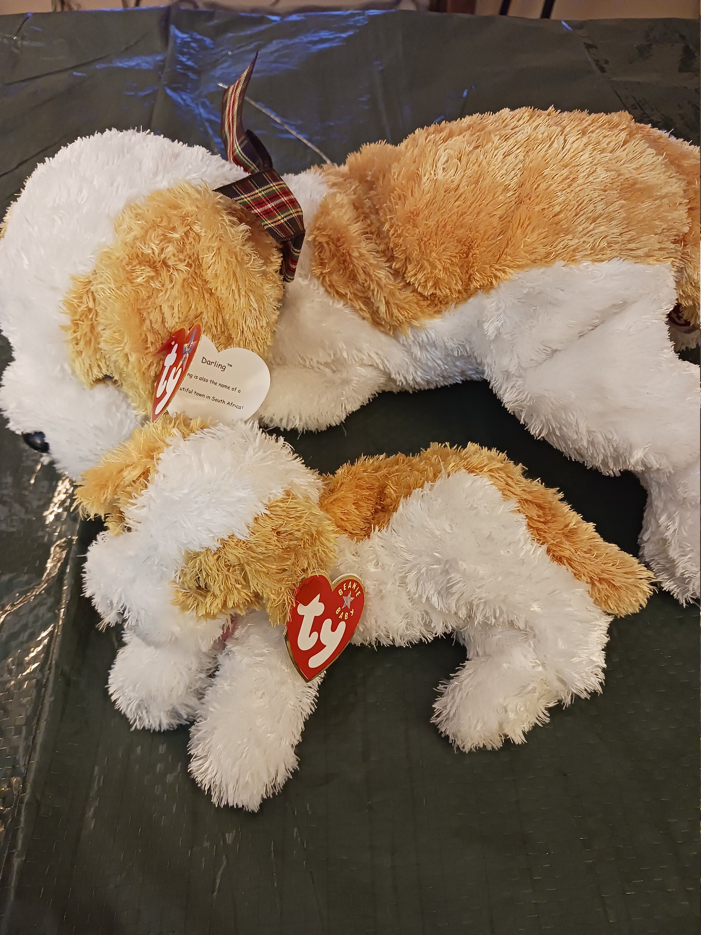 Darling the dog beanie baby hot sale