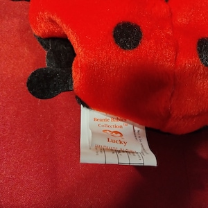 Ty Beanie Babies Lucky The Ladybug With Double Tush Tags (Canadian Tush Tag And Regular), Ty Deutschland, No Stamp/Star, PVC Pellets, RARE!