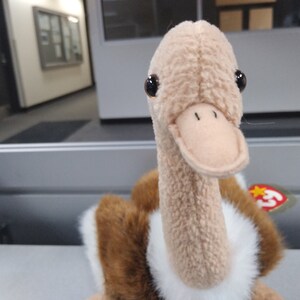 ty Beanie BUDDIES Stretchy the Ostrich, from the Ty Beanie babies/BUDDIES collection