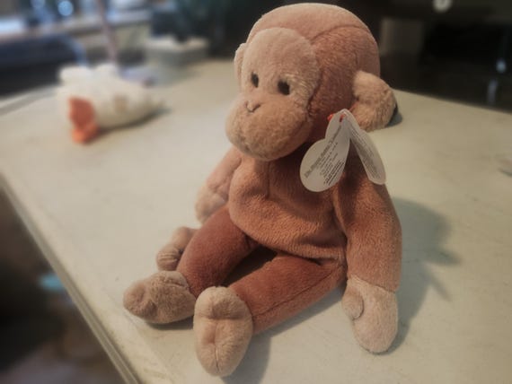 TY Beanie Babies Bongo The Brown Monkey P.V.C., No Stamp/Star, Ty Deutschland, Birthdate In Wrong Format, P.V.C.