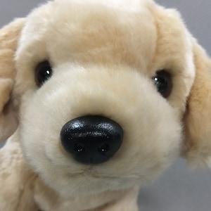 Ty Beanie Buddies&#39; Fetch the Dog, from the beanie babies&#39; collection