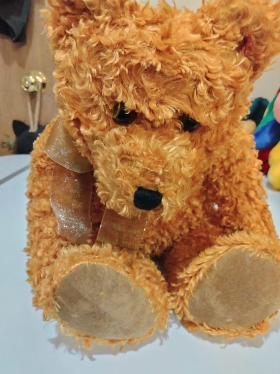 Ty Beanie Buddies Teddybearsary With Coin Around Neck (No Hang Tag, 15" High, In The 2nd Chance Beanies Section)