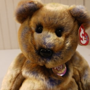 TY Beanie BUDDIES Clubby 3 Bear with Official Club Button on Chest